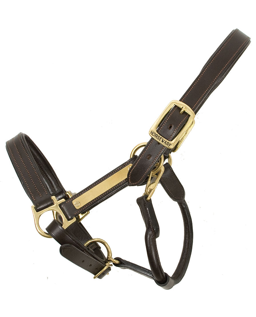Amigo Padded  Leather Halter