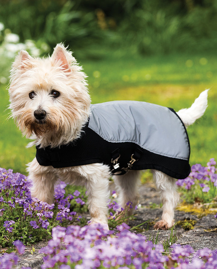Rambo Sports Series Dog Rug