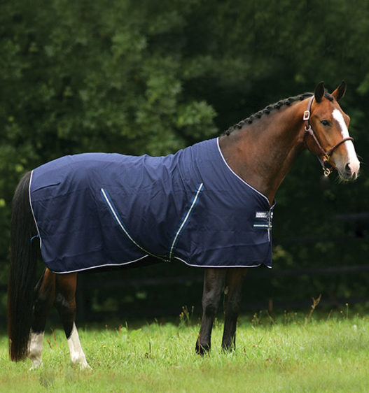 Rambo Stable Sheet