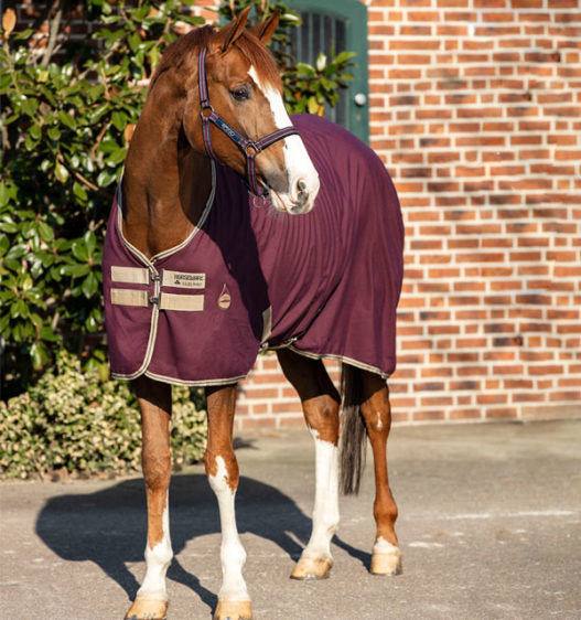 Amigo Stable Sheet