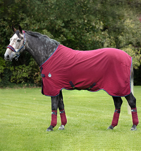 Rambo Helix Sheet