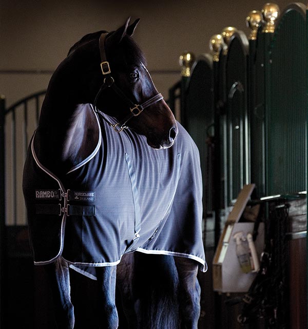 Rambo Stable Sheet