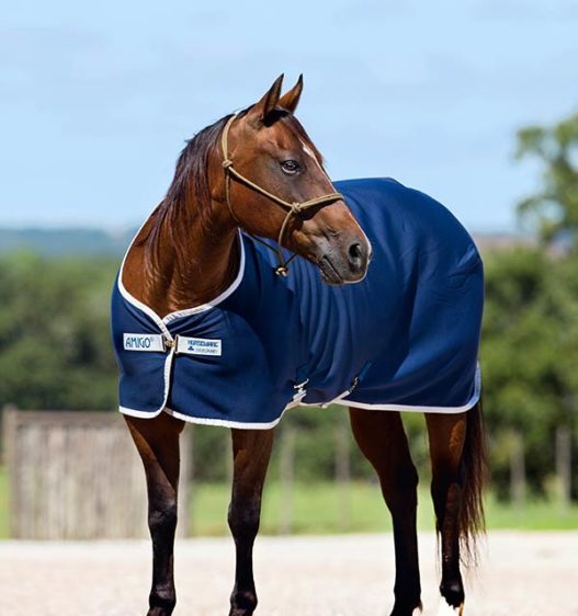 Amigo Jersey Cooler
