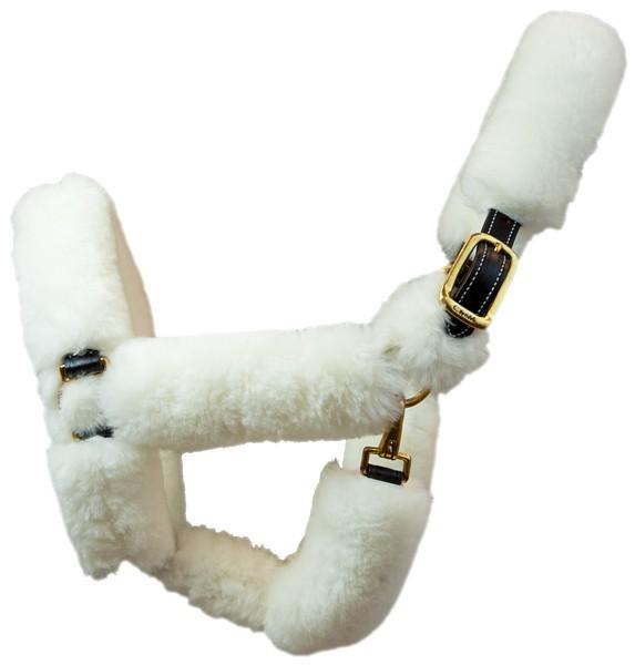 Shipping Halter with Sheepskin