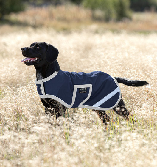 Amigo Waterproof Dog Blanket