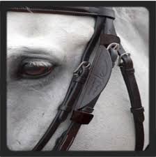 Blinkers