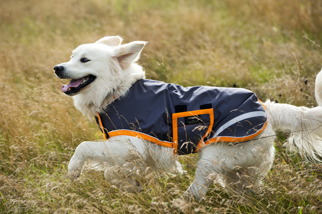 Amigo dog coat best sale