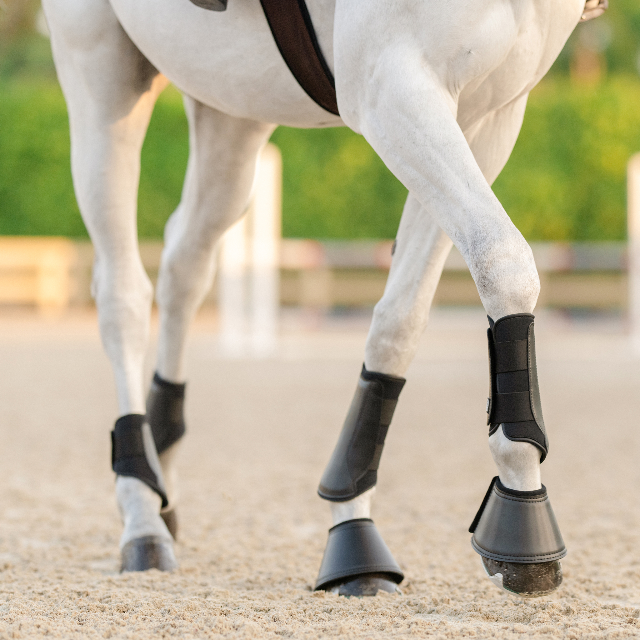 Essential Everyday Hind Boot
