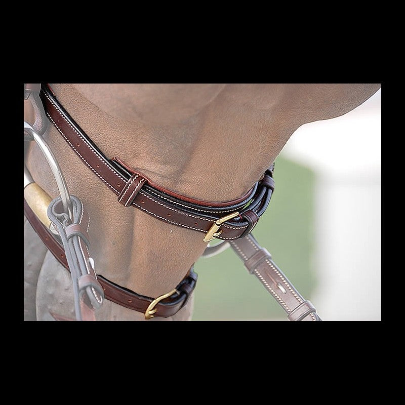 Double Nose Band Bridle - Dyon Collection