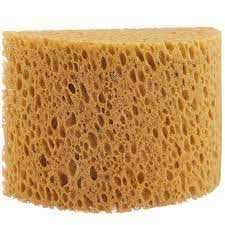 Hydra Bath Sponge