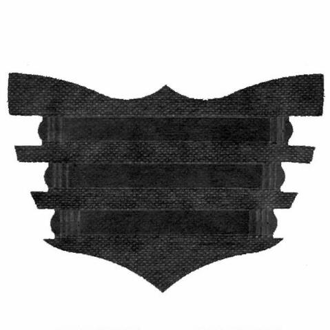 Flair Nasal Strip