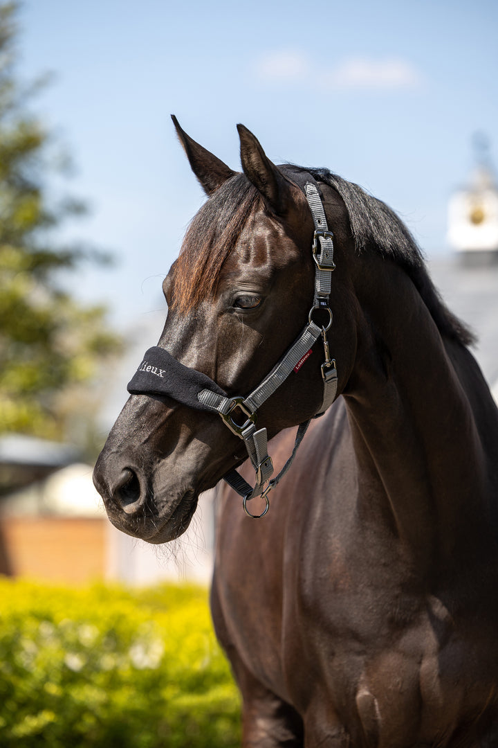 Vogue Headcollar &amp; leadrope