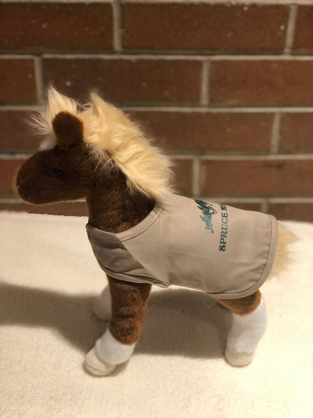 Teak Chestnut Foal