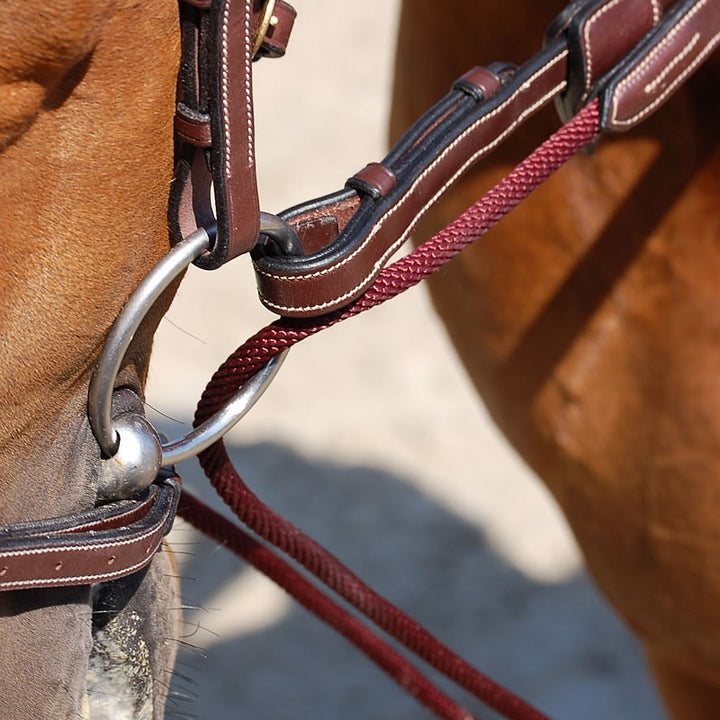 Leather/Nylon Draw Reins 5/8 - D Collection