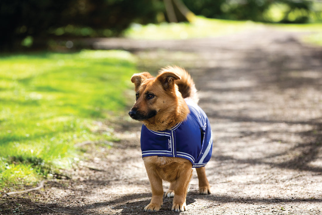 Amigo Waterproof Dog Blanket