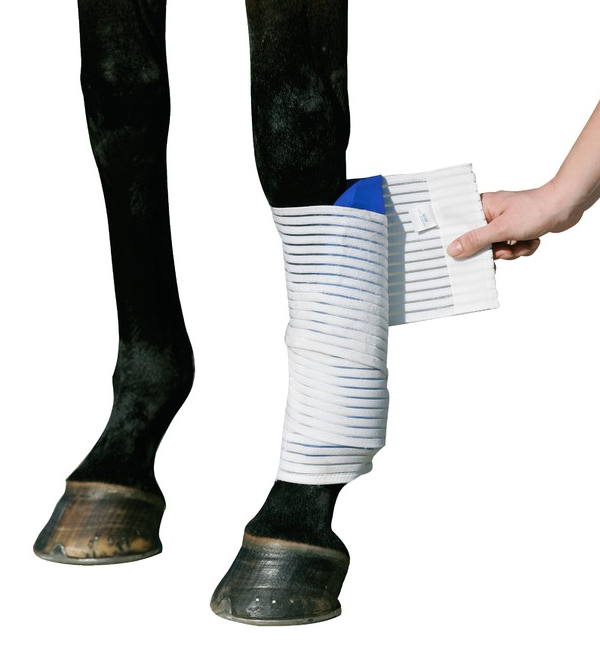 Kryo Kompakt Horse Cold Pak Set
